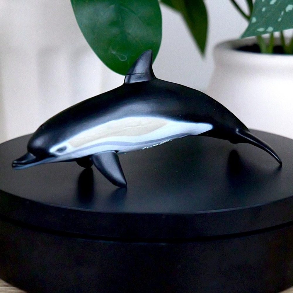 Common Dolphin Sea Life Figure - Hand Painted &‎ Collectible Sea Life Toy - Papo